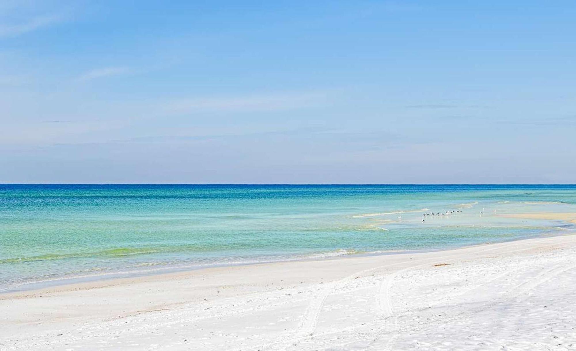 Majestic Beach Towers 1-1803 Panama City Beach Eksteriør bilde